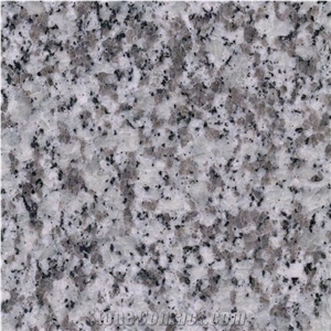 Jilin White New G439 Granite Slabs Tiles