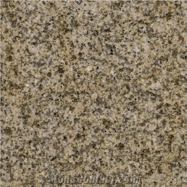 New Yellow Rust G682 Granite & Slabs Tiles