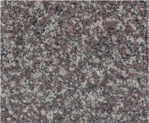Original G664, Bainbrook Misty Brown Granite Slabs