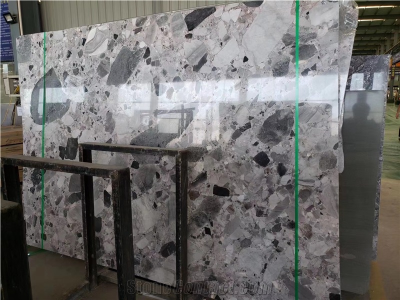 Natural Terrazzo Fossil Marble Polished Slab