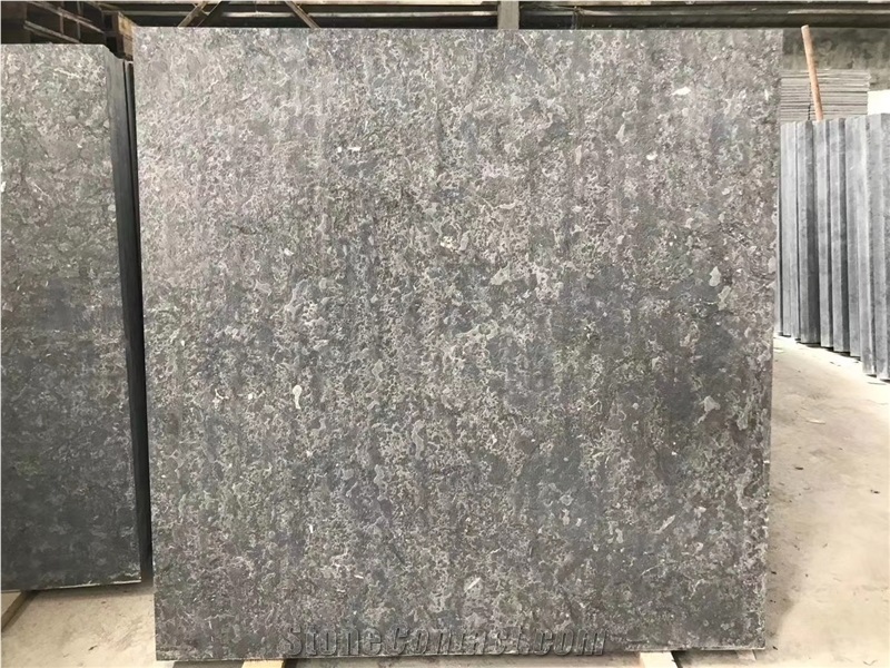 Black Fossil Limestone Tile