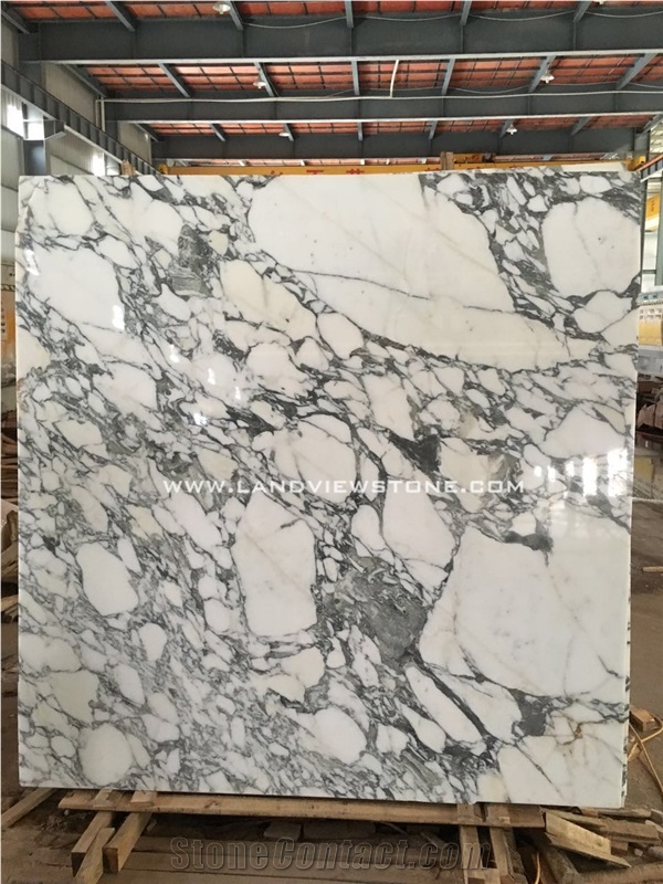 Arabescato Corchia Marble Slab Floor and Wall Tile