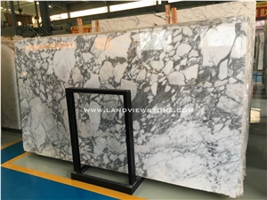 Arabescato Corchia Marble Slab Floor and Wall Tile