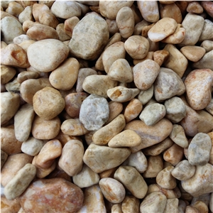 Top Quality Yellow Color Pebble Stone