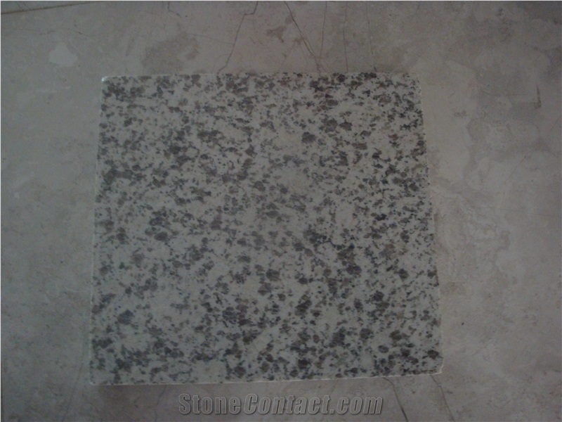 Granite Venus White for Tiles and Slabs
