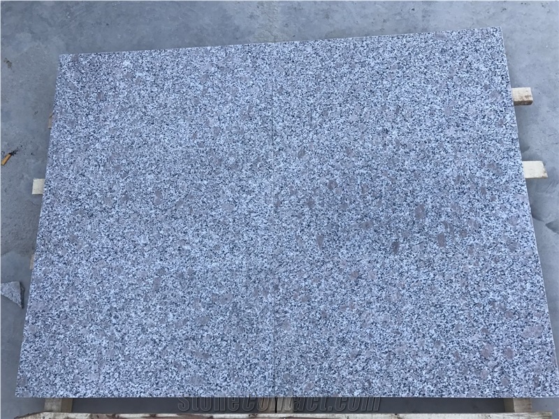 Popular Pearl White G383 Slabs Tiles for Floor