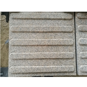 China Granite Tactile Driveway Pavers for Sale