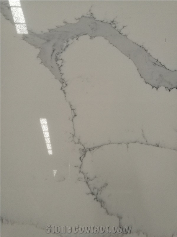 Quartz Wall Covering Slab White Calacatta Veins