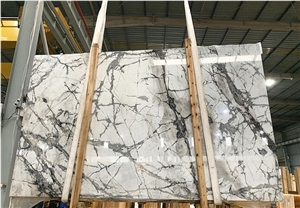 White Marble with Black Spider Net Veins for Wall