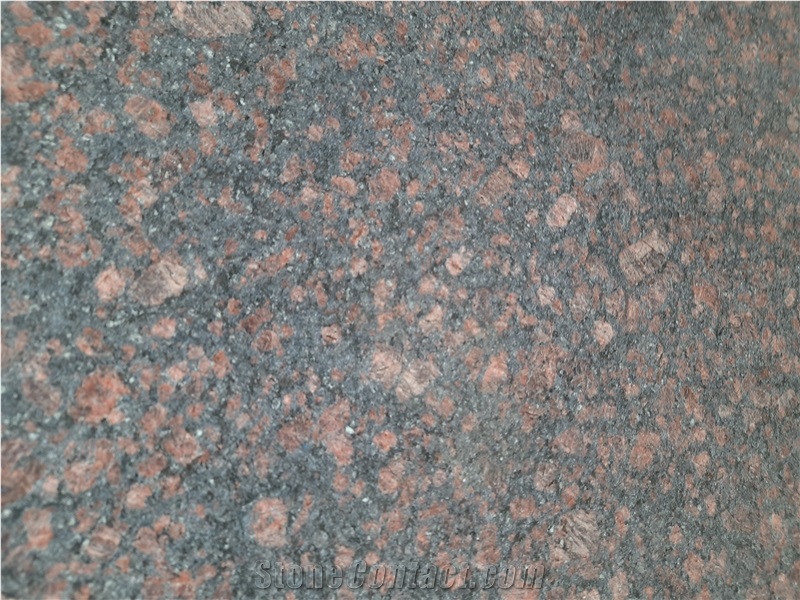 Tan Brown Granite Blocks & Slabs