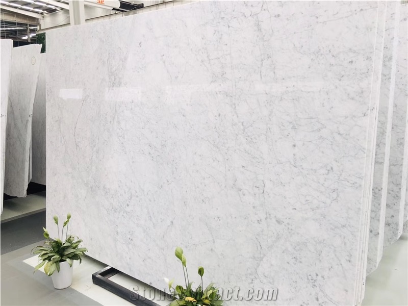 Italy Carrara White Marble Countertop Design