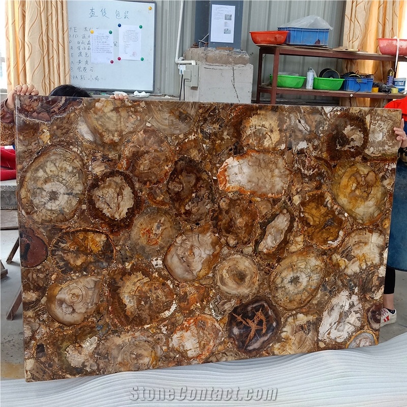 Petrified Wood Agatestone Slab Countertops Design