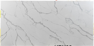 Ten Container Per Month Slabs Polished Surface Quartz Stone