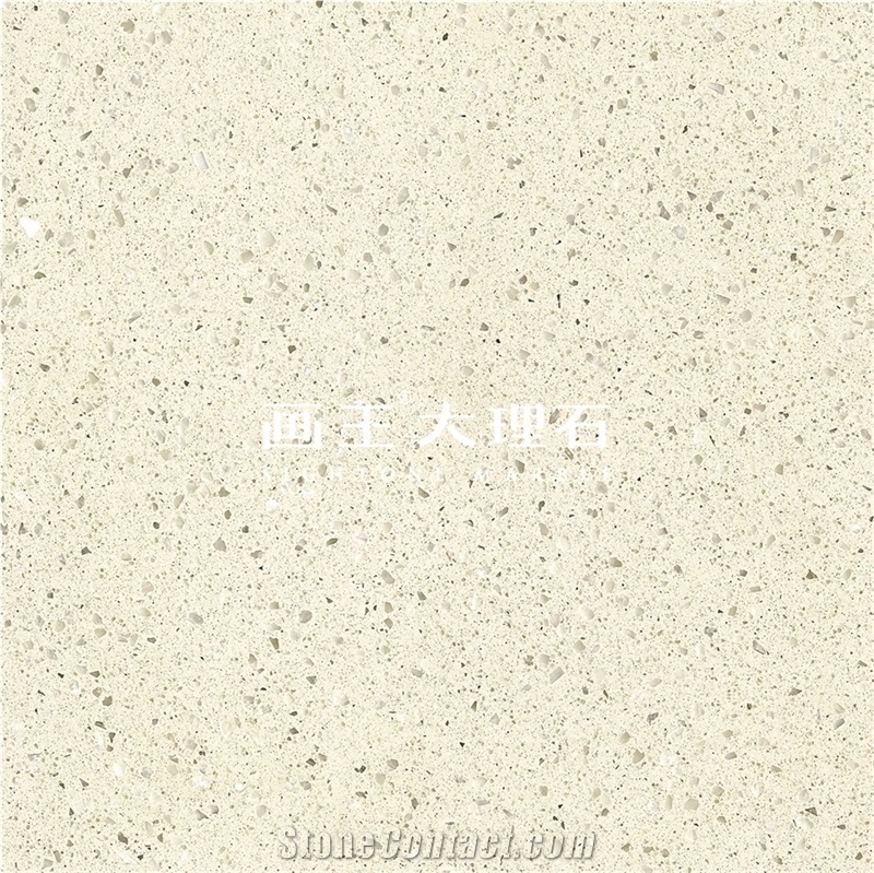 Commercial Terrazzo Flooring Slab and Tile Hwn619