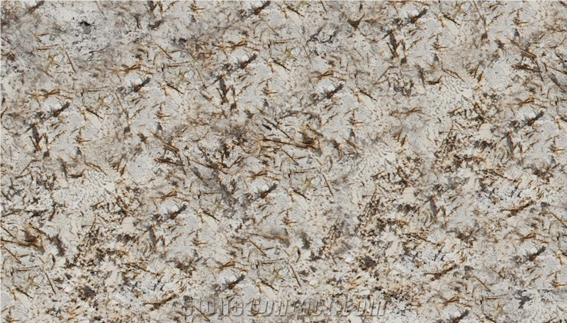 Crema Delicatus Granite Slabs