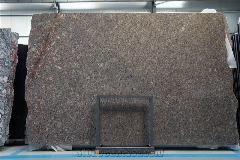 China Desert Brown Diamond Granite Slab / Floor Tile
