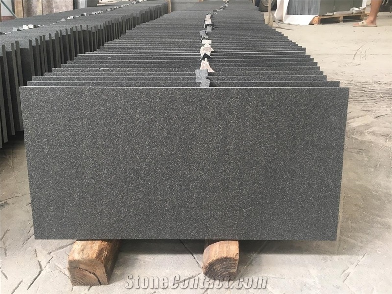 Flamed Shanxi Black Granite Floor Tiles,China New Nero Absolute Material