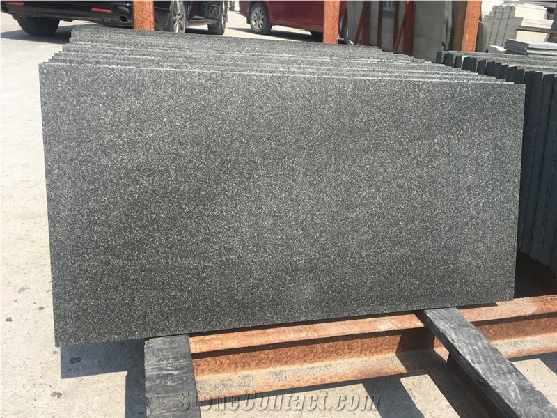 Top Flamed New Shanxi Black Granite Tile Floor / Wall