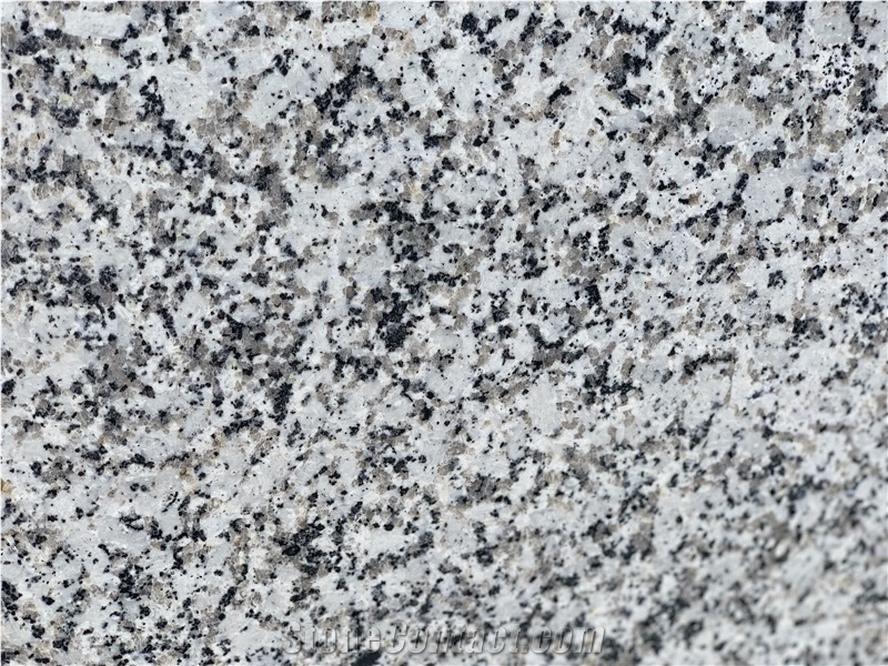 P White Granite Slabs