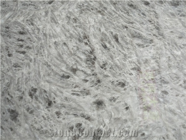 Arctic White Fox Snow Marble Slab, Floor Tile