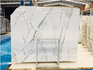 Bianco Statuario Carrara White Marble Slab