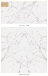 Biancovcalacat Ta Oro Marble White Quartz Stone Kitchen / Floor Slab