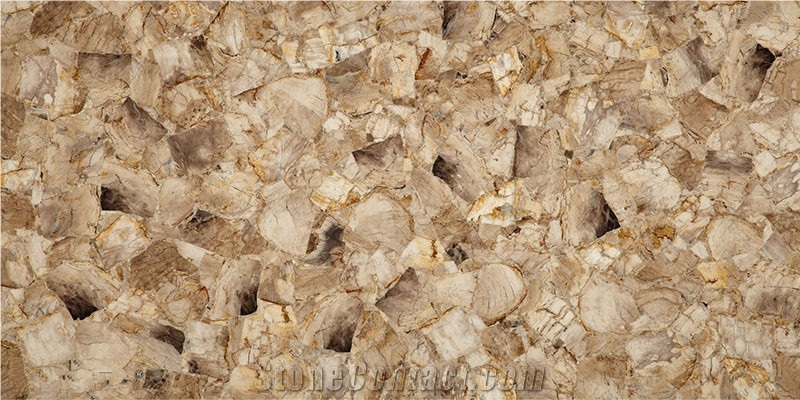 Black Fossil Seashell Limestone Agate Stone Slab Backilit