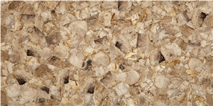 Black Fossil Seashell Limestone Agate Stone Slab Backilit