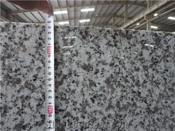 G439 Beta White Flower Grey Granite Slab,Floor Tile