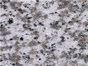 G439 Beta White Flower Grey Granite Slab,Floor Tile