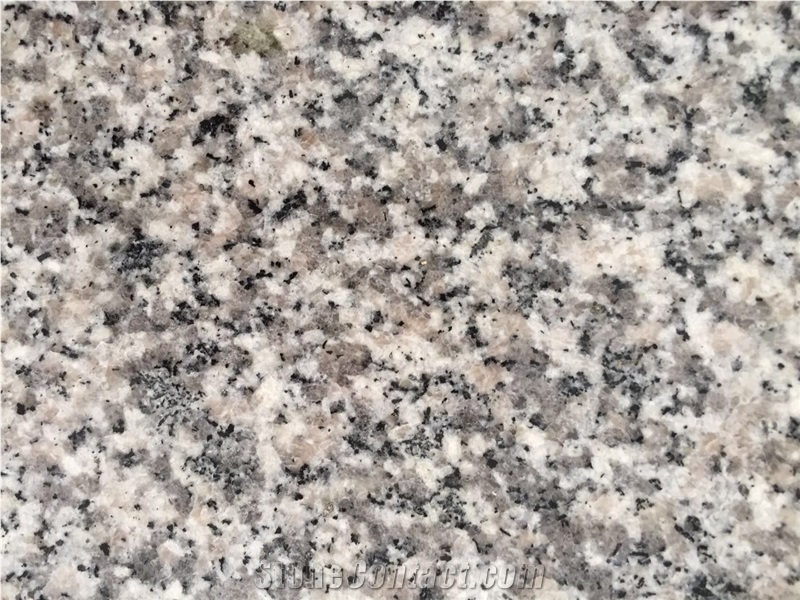 G623 Grey Moon Pearl Granite Slab, China Bianco Sardo Haicang White Tile