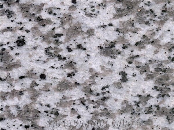 Glossy G439 Beta White Flower Granite Slab, Tile Airport Floor Project