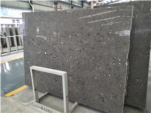 Grey Fossil Marble Slab, Interior Wall Panel Tiles