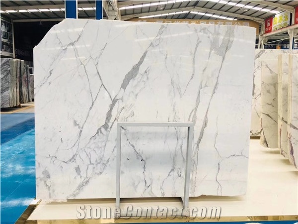 Italy Bianco Statuario Carrara Marble Slab