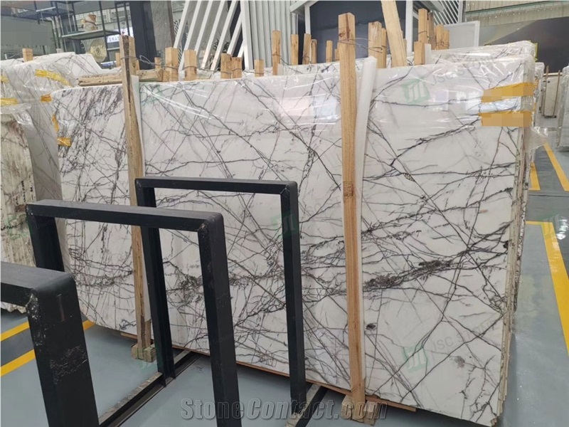 High End Luxury Fantastic White Marble