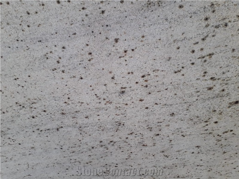 Millenium Cream Granite Big Slabs, Millenium White Granite Slabs