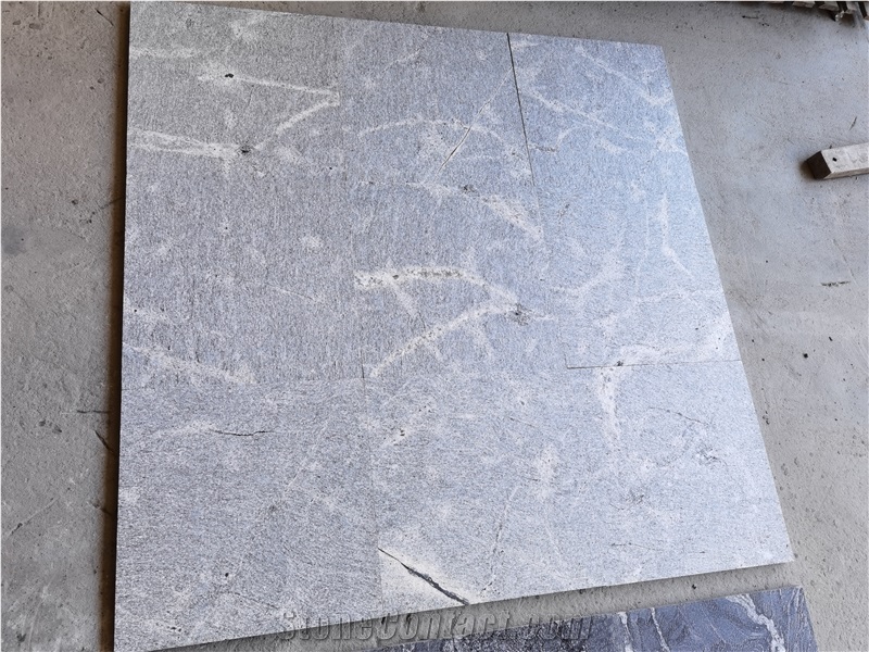 China Granite Silver Gray for Project