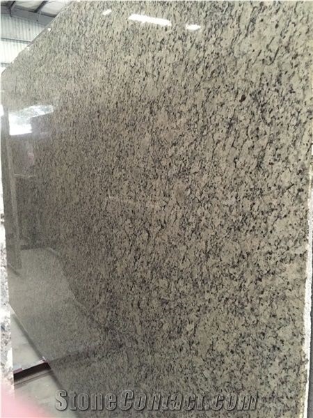 Polished Samoa Granite Slabs Tiles Floor