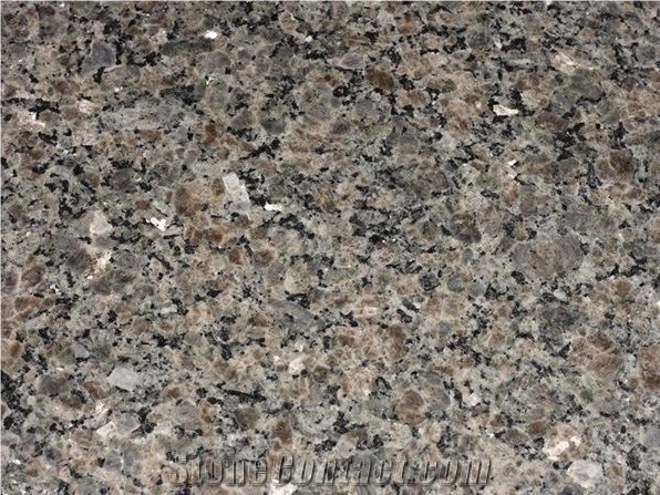 Polychrome Canada Brown Granite Polished Slabs