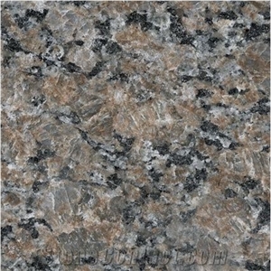Polychrome Canada Brown Granite Polished Slabs