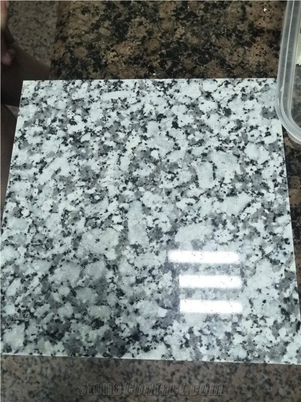 New Big Flower White G439 Granite