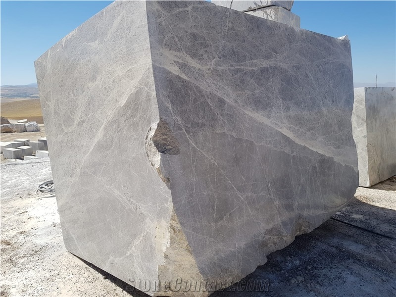 Tundra Silver Spider Gray Marble Blocks