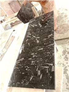 Black Fossil Marble Natrual Stone Slab Tiles