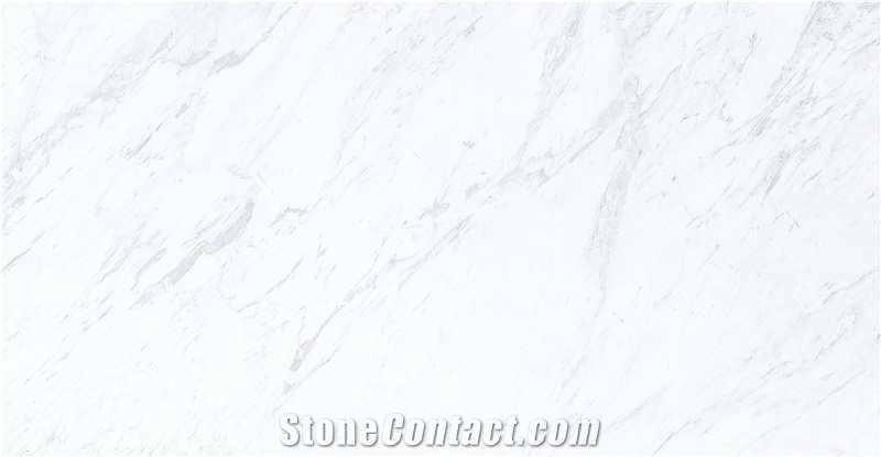 Bianco Venus Marble Slabs and Tiles White Marble