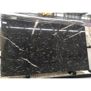 Fossil Black Marble Slab with White Vain