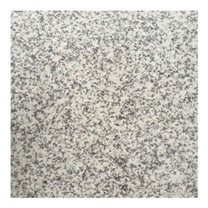 Granite Tiles 24x24,China G655 White Grey