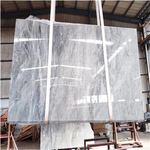 Italy Silver Grey Marble Slabs Walling Tiles