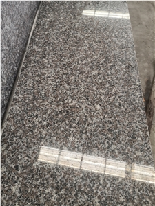 Polished Misty Brown Granite Wall Cladding
