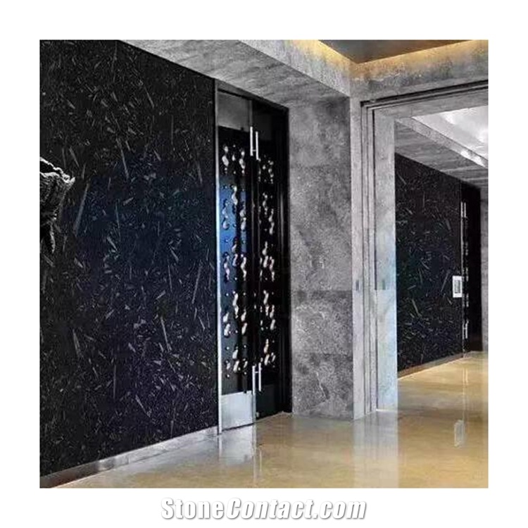 Polished Moroccan Fossil Marble for Wall