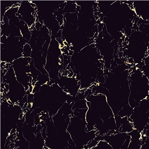 Polished Super Black Marble with Gold Vein